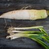 11 Daikon rapa bianca marinata
